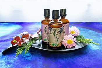 ウエルネス Salon さなさな | 柏のリラクゼーション ウエルネス Salon さなさな | 柏のリラクゼーション