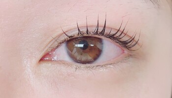 Calla lily | 山科のアイラッシュ Calla lily | 山科のアイラッシュ