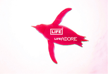 ＬＩＦＥ　ＡＤＯＲＥ | 御池/御所/二条城のヘアサロン