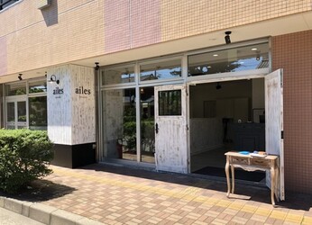 Ailes エル 新潟県 新潟 の美容院 美容室 ビューティーパーク