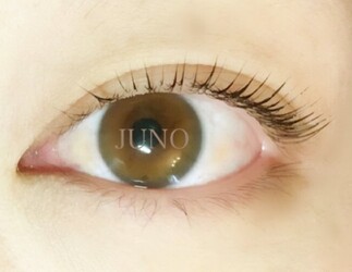 Juno Eyelash Beauty Healing ジュノ 東京都 小岩 のマツエク まつげパーマ ビューティーパーク