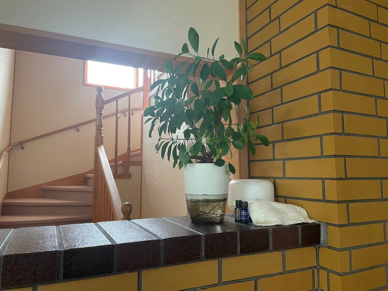 salon SORA | 円山公園のエステサロン salon SORA | 円山公園のエステサロン