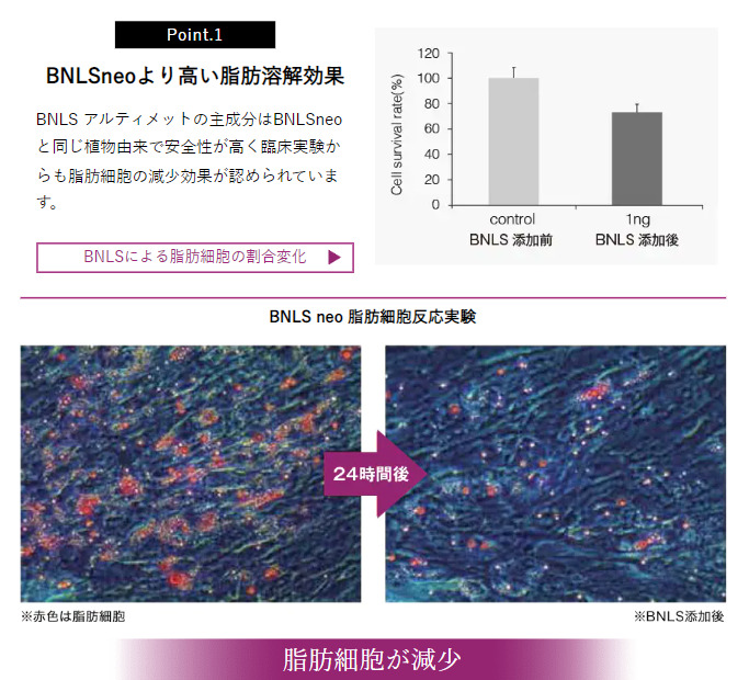 22年口コミ 湘南の脂肪溶解注射の口コミ評判は Bnls注射で鼻と顔を施術して1年たった私の効果 痩身エステnavi